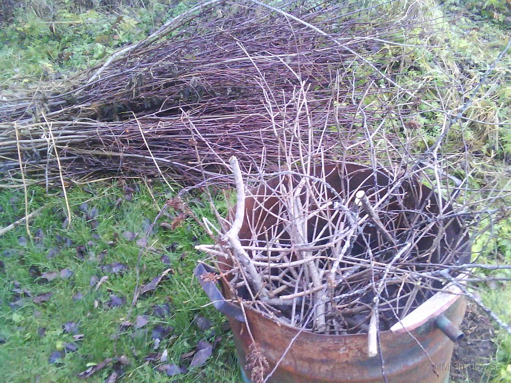 Foto 0223.jpg - 2011-11-04  Lite risigt men det blir snart lite bättre..